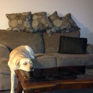 Meet your Posher, Tammy